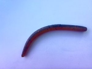 plastic fishing stick worm