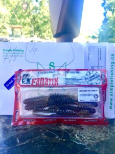 Package of fishing worms