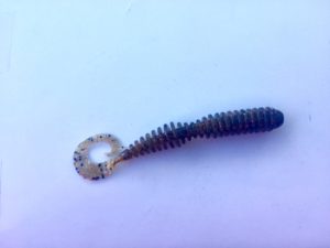 Ribbed Ribbon Tail Worm