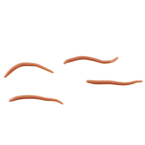 Gulp! Alive! Angle Worm Soft Bait 1″ Length, Natural