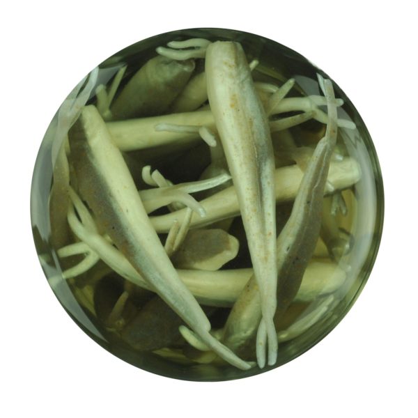 Gulp! Alive! Minnow Soft Bait – 1″ Length, Smelt