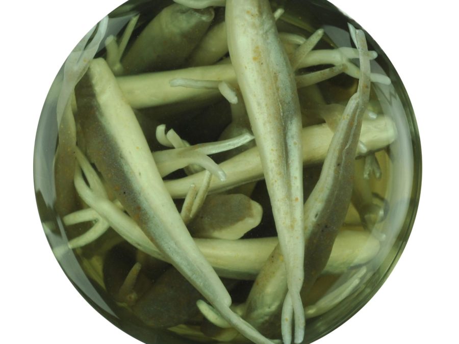 Gulp! Alive! Minnow Soft Bait – 1″ Length, Smelt