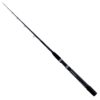 Eliminator Boat Rod – Conventional, 6′