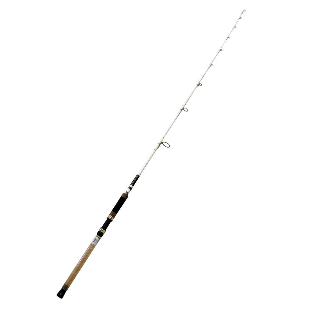 Battle Spinning Catfish Rod, 8′ Length, 2 Piece Rod, Heavy Power