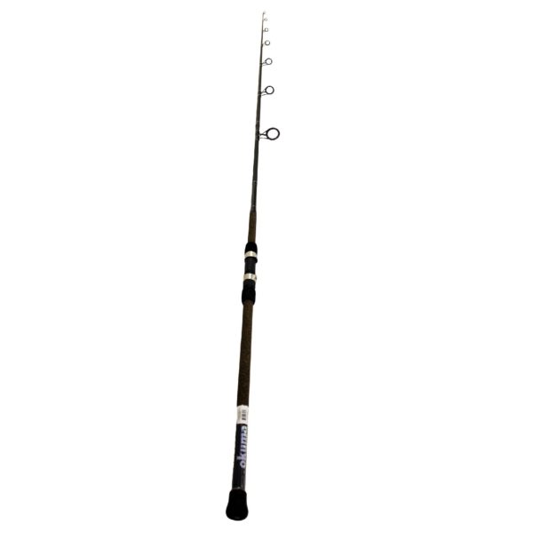 Longitude Surf Spin Rod – 10′, Heavy 2 Piece