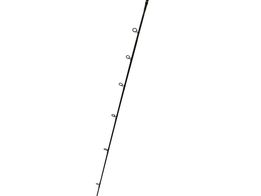 Longitude Surf Spin Rod – 12′, Heavy, 2 Piece