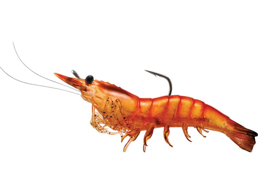 Rigged Shrimp Soft Plastic – Saltwater, 4″, #2-0 Hook, Variable Depth,  Pink Shrimp, Per 4