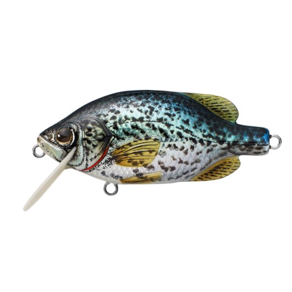 Crappie Crankbait – Freshwater, 2 1-4″, #6 Hook, 3′-4′ Depth, Metallic Gloss