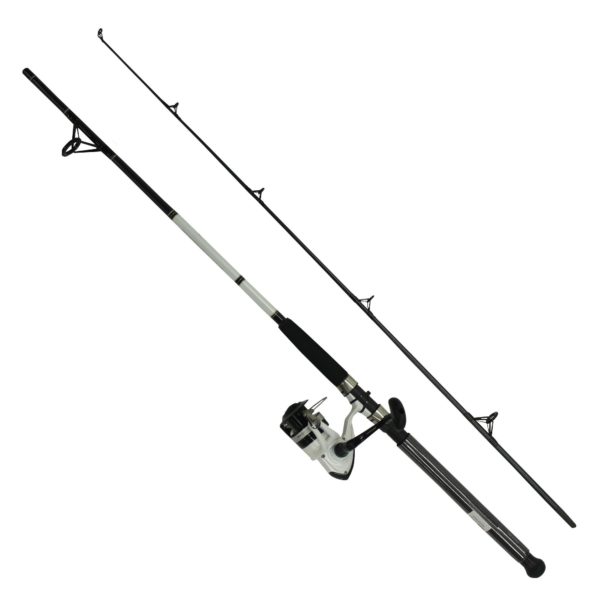 D-Wave Saltwater Spinning Combo – 1 Bearing, 7′ Length, 2 Piece Rod, Medium Power, Fiberglass Blank Material