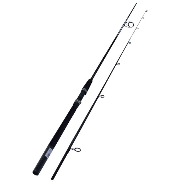 Sealine Surf SLS Spinning Rod – 10′ Length, 2 Piece Rod, Light Power, Slow Action