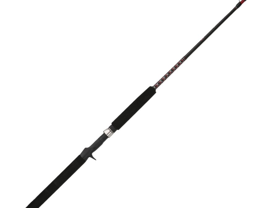 Ugly Stik Bigwater Casting Rod – 6’6″ Length, 1pc Rod, 12-20 lb Line Rate, 1-2-2 oz Lure Rate, Medium Power