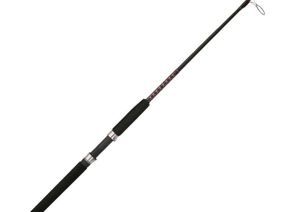 Ugly Stik Bigwater Spinning Rod – 6’6″ Length, 1 Piece Rod, 12-30 lb Line Rating, 1-2-3 oz Lure Rate, Medium Power