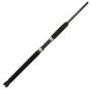 Ugly Stik Bigwater Spinning Rod – 6’6″ Length, 1 Piece Rod, 12-30 lb Line Rating, 1-2-3 oz Lure Rate, Medium Power 11466