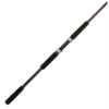 Ugly Stik Bigwater Spinning Rod - 15' Length, 2 Piece Rod, 20-40 lb Line Rating, 2-12 oz Lure Rate, Heavy Power 25940 Ugly Stik Bigwater Spinning Rod – 15′ Length, 2 Piece Rod, 20-40 lb Line Rating, 2-12 oz Lure Rate, Heavy Power 25940