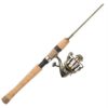 Wild Series Pack Combo – 5 Bearings, 6′ Length, 4 Piece Rod, 6-12 lb Line Rate, Medium-Light Power 12196
