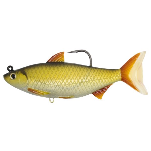 Golden Shine – Freshwater, 5 1-2″, 9-0 Hook, Medium-Slow Sink, Gold-Black