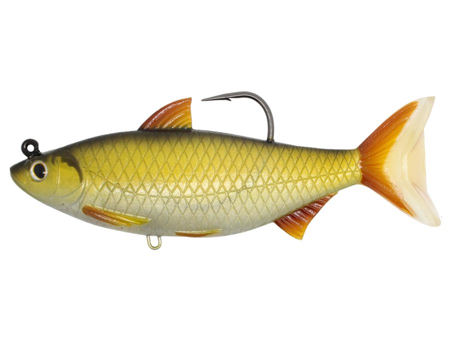 Golden Shine – Freshwater, 5 1-2″, 9-0 Hook, Medium-Slow Sink, Gold-Black