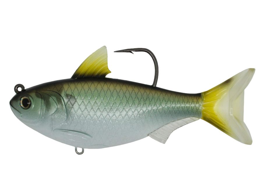 Gizzard Shad – Freshwater, 5″, 8-0 Hook, Medium-Slow Sinking, Green-Bronze