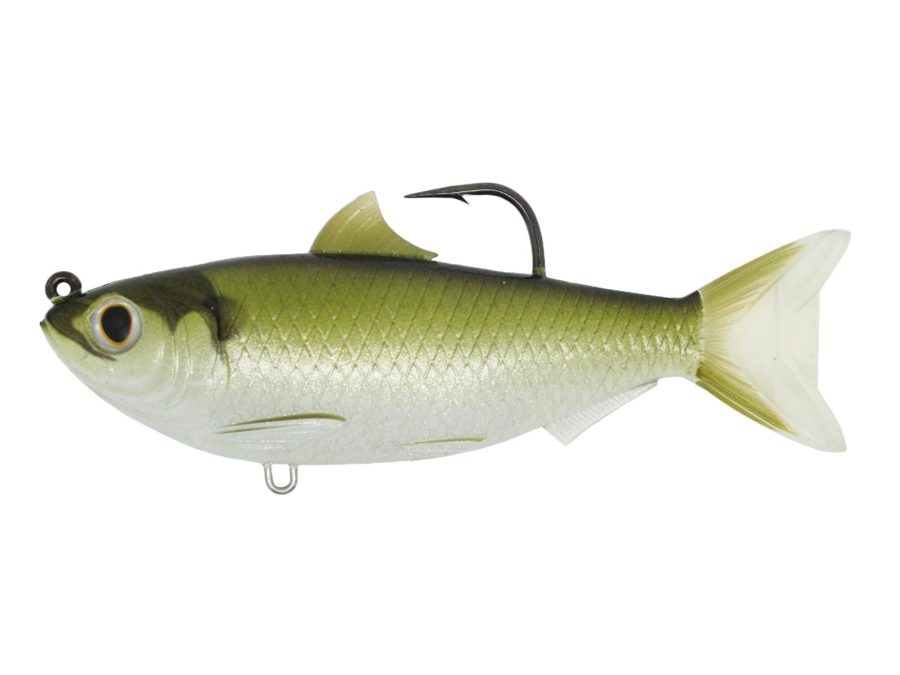 Threadfin Shad Crankbait – Freshwwater, 3 1-2″, 4-0 Hook, Medium-Slow Sinking, Green-Bronze