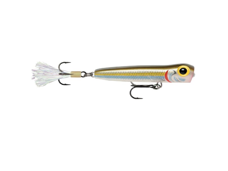 Rattlin’ Chug Bug Hard Bait Lure – 2 1-2″ Length, Topwater Depth, #6 Hook, Gizzard Shad, Package of 1