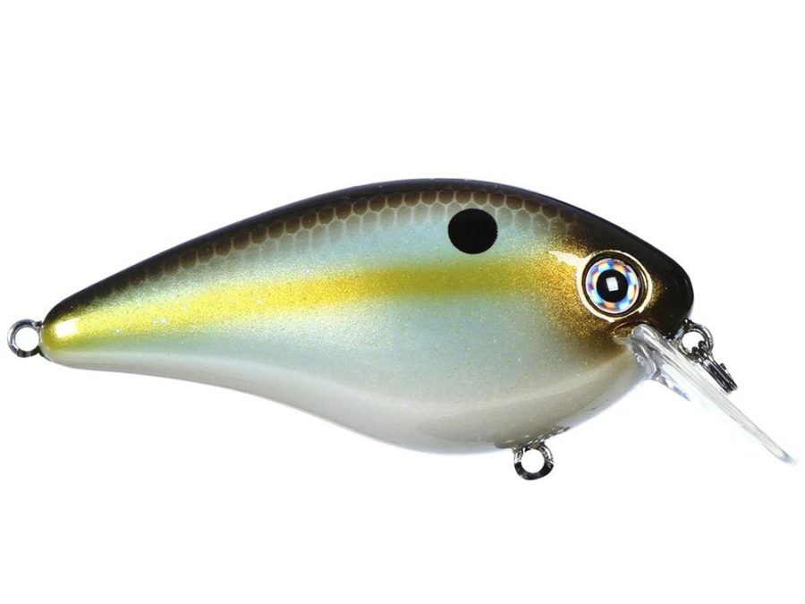 KVD Square Bill Silent Crankbaits – Model 1.5, 2 1-2″ Length, 7-16 oz, #4 Hook, Summer Sexy Shad, Package of 1