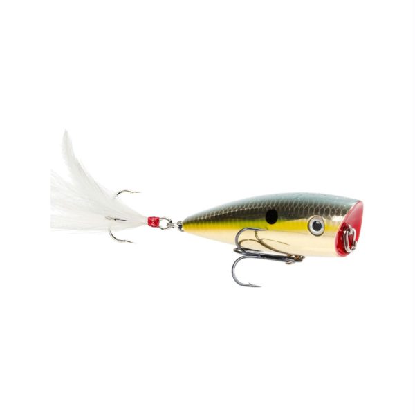 KVD Splash Topwater Lure – 2 7-8″  Length,  1-2 oz, #4 Hook, Goild Sexy Shad, Package of 1