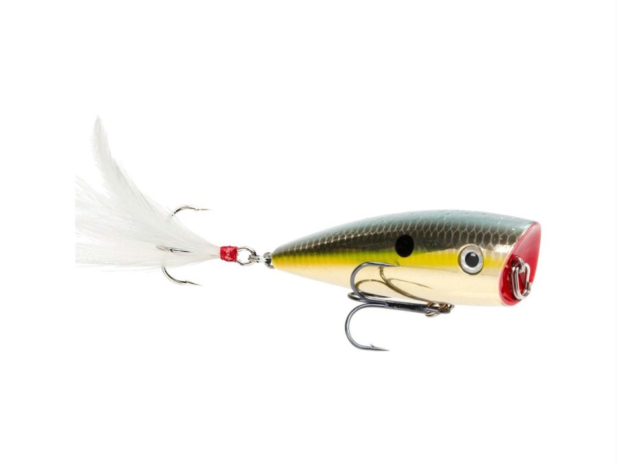 KVD Splash Topwater Lure – 2 7-8″  Length,  1-2 oz, #4 Hook, Goild Sexy Shad, Package of 1