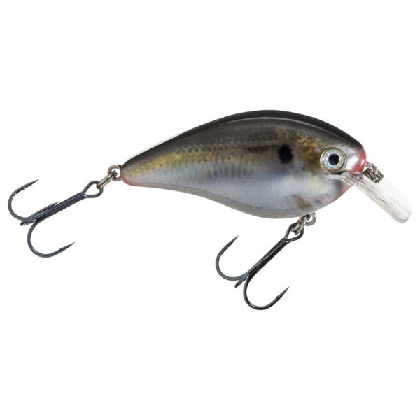 KVD Square Bill Silent Crankbaits – Model 1.5, 2 1-2″ Length, 7-16 oz, #4 Hook, Natural Shad, Package of 1