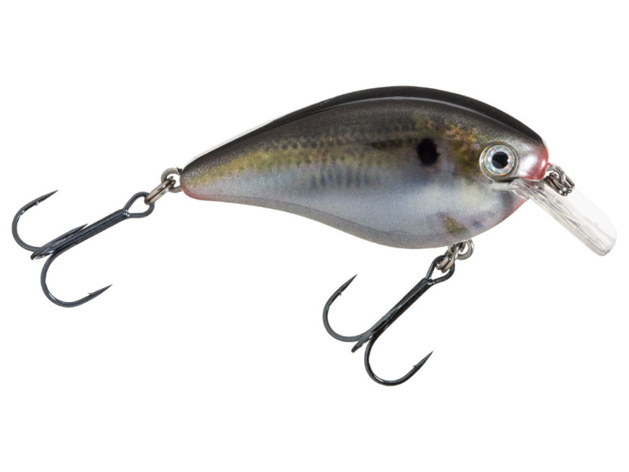 KVD Square Bill Silent Crankbaits – Model 1.5, 2 1-2″ Length, 7-16 oz, #4 Hook, Natural Shad, Package of 1