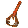 Rage Tail Craw Soft Lure – 4″ Body Length, Amber Green Black, Per 7 27937